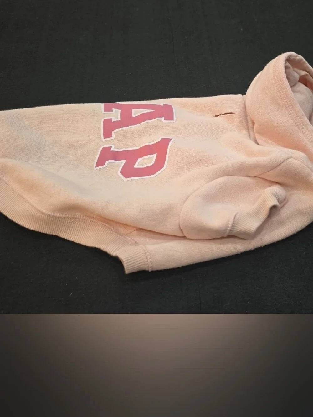 GAP Pink Hoodie with Dark Pink Logo - DOG M/L #696